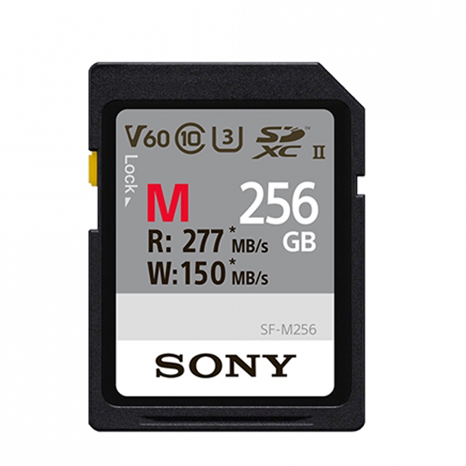 SF-M256 SDXC UHS-II U3 4K 256GB 메모리 R277MB/s W150MB/s